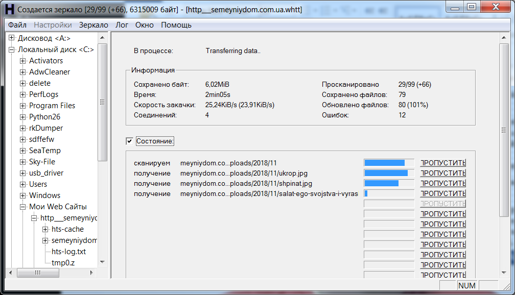 Скачивание сайта при помощи WinHTTrack WebSite Copier