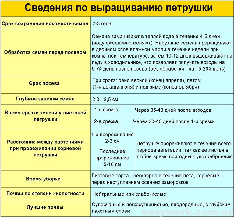 Сведения по выращиванию петрушки (таблица)